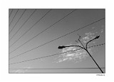 Crazy Lines